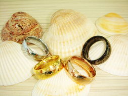 珠寶飾品行業情人節專場秀 璀璨獻禮，展示產品贏豐厚獎勵